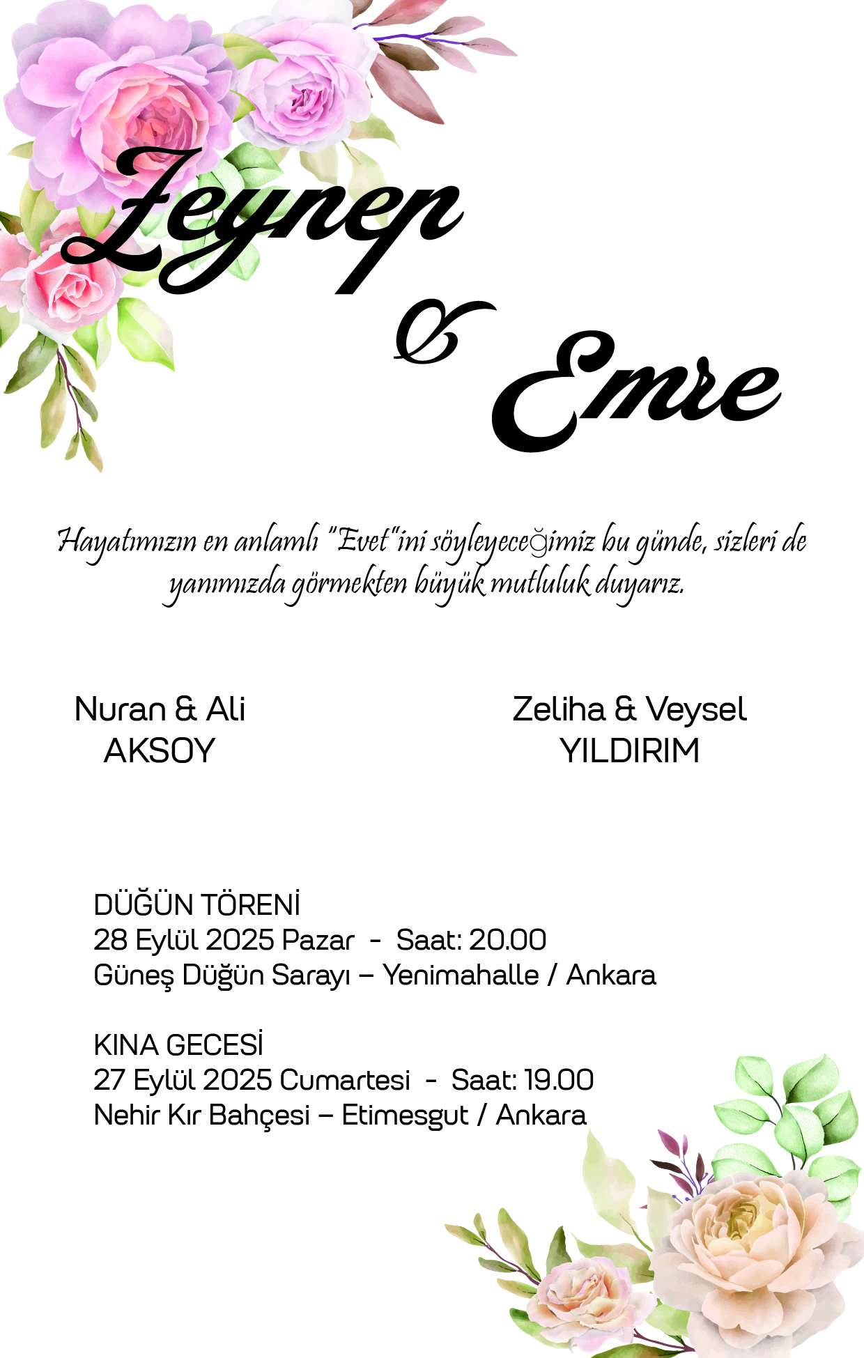 Hızlı Daetiye 5001